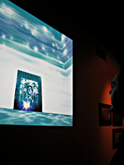 Steve Law with Border Song installation
