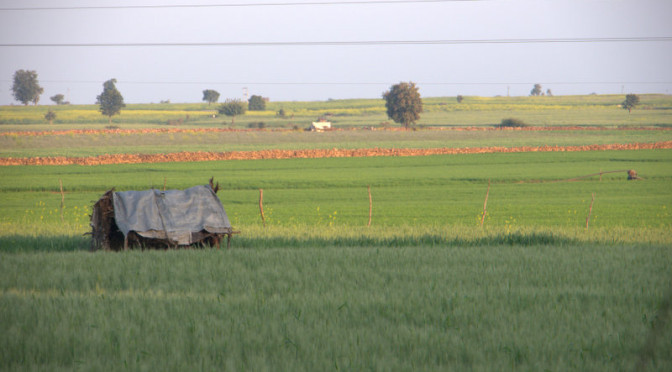 Women are stepping up in India’s off-grid rural communities