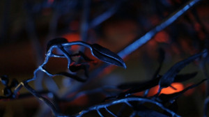 Detail of copper and stainless steel foliage.