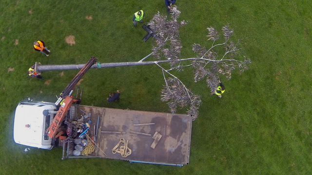 Placing The Tree onto the Whittlesea Showgrounds.