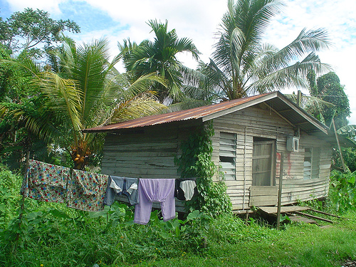 2006-04-24_kuching 004