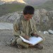 Hazara boy reads whilst his cattle graze